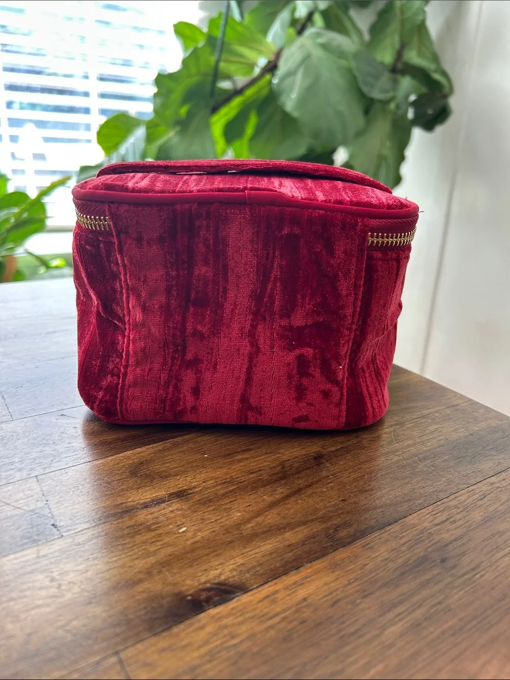 Sézane Mini Vanity Red Crushed Velvet Zip Cosmetic Makeup Case Tassel Zipper